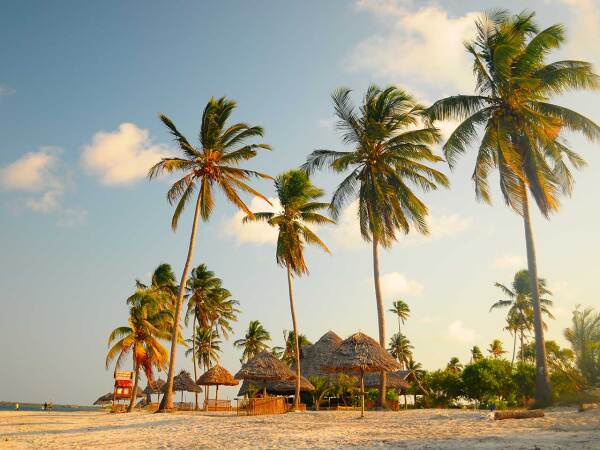 tanzanie_mafia_island_basecamp_mafia_island_lodge_beach_8244